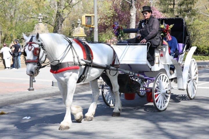 Central Park Private Horse Carriage Ride: Historic NYC Tour (Since 1970) photo 2
