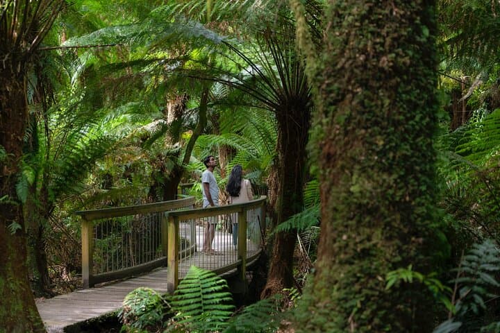 Private Two-Day Great Ocean Road Tour — 12 Apostles, Otways & Apollo Bay