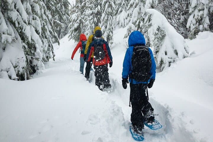 South Lake Tahoe Snowshoe Rentals: Rent Tubbs Snowshoes on Highway 50 photo 3
