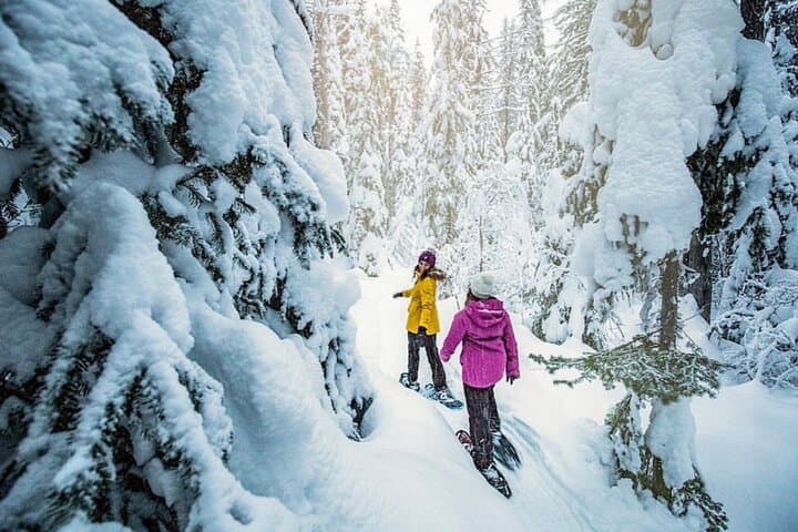 South Lake Tahoe Snowshoe Rentals: Rent Tubbs Snowshoes on Highway 50 photo 4