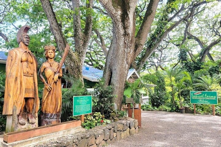 Oahu Island Sightseeing and Food Combo Tour — Waikiki to North Shore photo 4