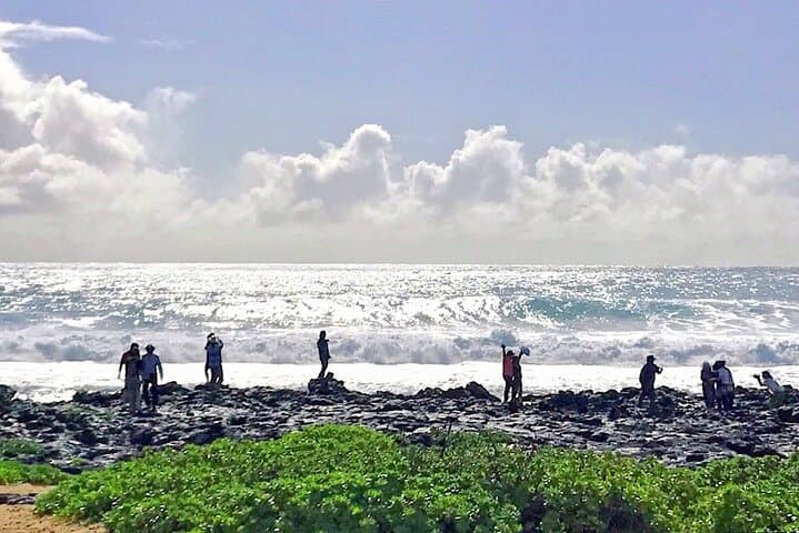 Oahu Island Sightseeing and Food Combo Tour — Waikiki to North Shore photo 5
