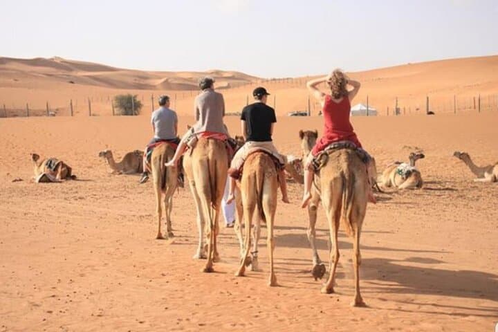 Full-Day Desert Adventure from Muscat: Camel Riding, Quad Biking & Sandboarding photo 3