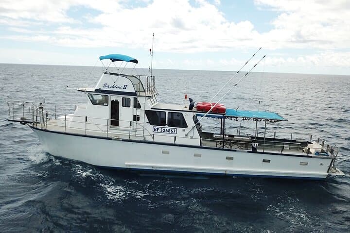 Honolulu 3-Hour Bottom Fishing Charter — Nearshore & Offshore Kewalo Trip photo 2
