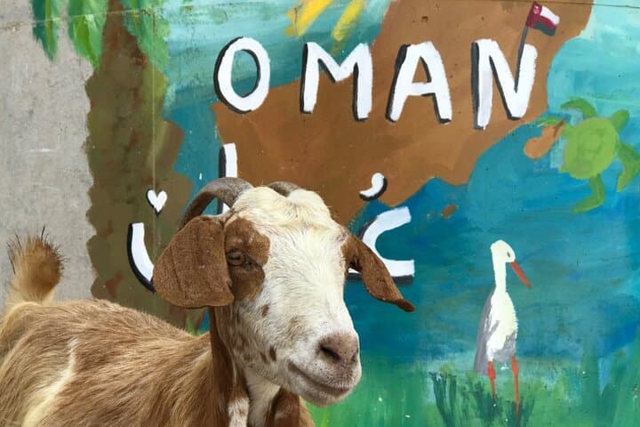 Private 2-Day Wadi Shab & Bimmah Sinkhole Tour from Muscat photo 5