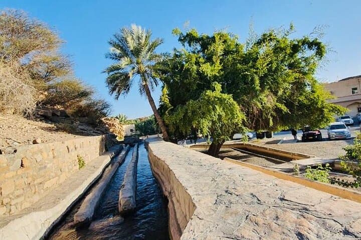 Private Tour to Jebel Akhdar & Al Suwjara Village from Muscat photo 5