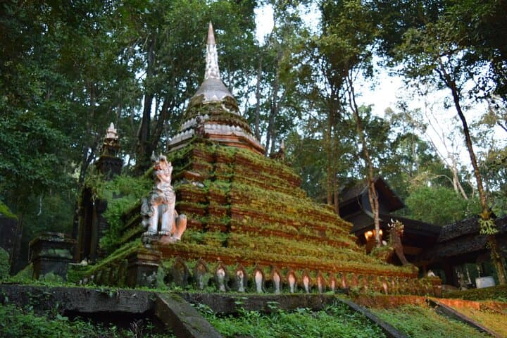 Private Doi Suthep & Palad Temple Day Tour with Orchid Farm and Longneck Village (Chiang Mai) photo 6