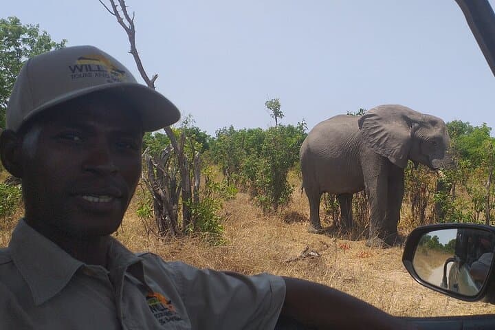 Hwange National Park Full-Day Safari from Victoria Falls photo 4