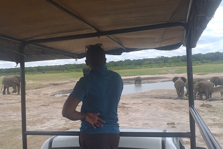 Hwange National Park Full-Day Safari from Victoria Falls photo 6