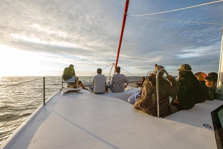 Sunset Champagne Catamaran Cruise at V&A Waterfront, Cape Town photo 3