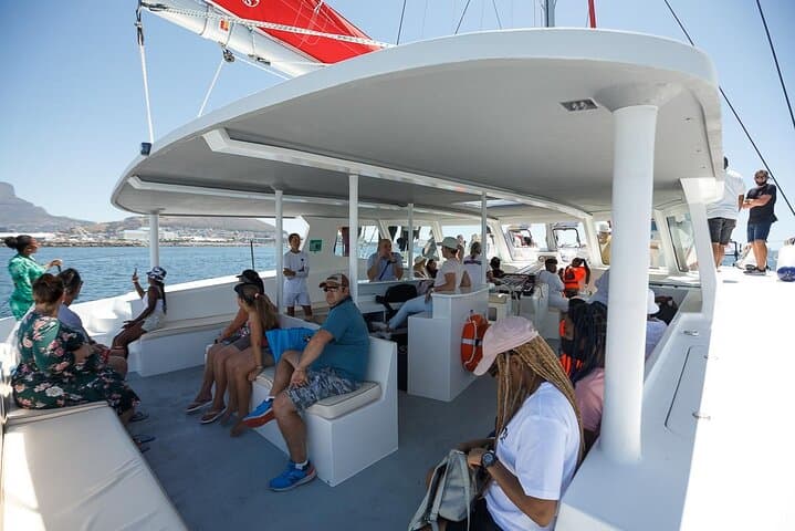 Cape Town 1-Hour Catamaran Cruise from V&A Waterfront — Table Bay & Robben Island Views photo 4