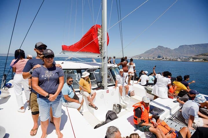 Cape Town 1-Hour Catamaran Cruise from V&A Waterfront — Table Bay & Robben Island Views photo 5