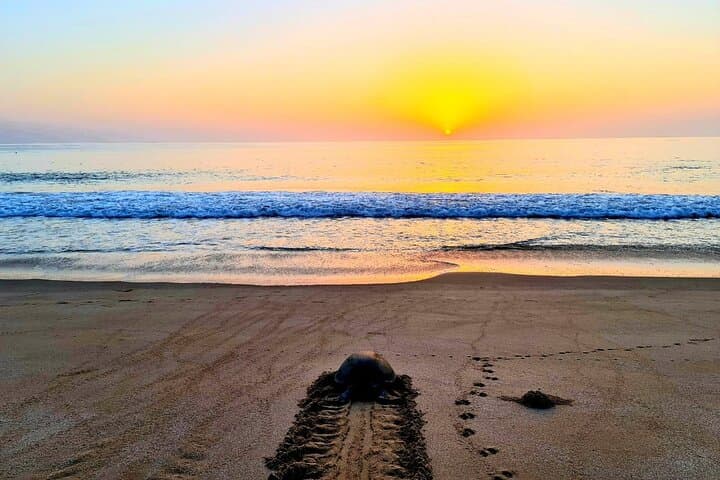 4-Day Private Oman Adventure: Wadis, Dunes and Turtle Beaches photo 2