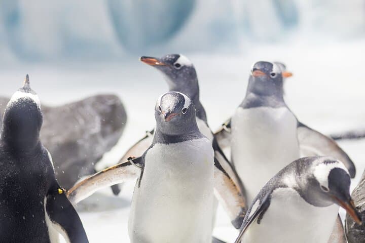 SEA LIFE Konstanz: Lake Constance Aquarium Admission & What to Expect