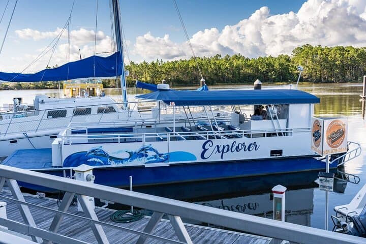 Orange Beach Dolphin Eco Boat Tour — 90-Minute Gulf Dolphin Cruise photo 4