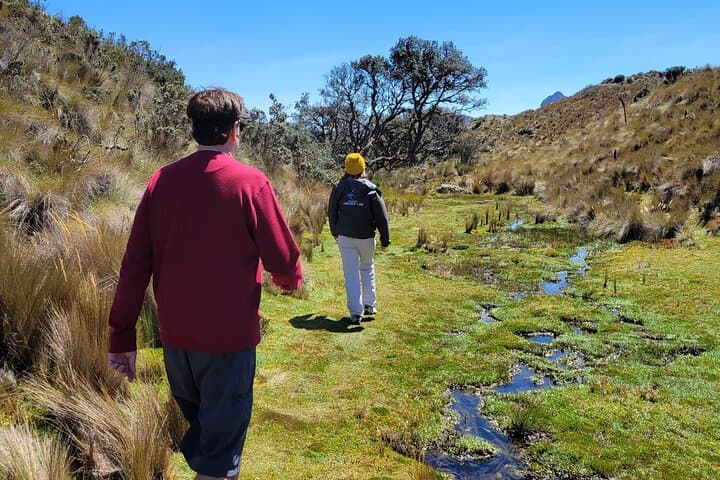 Cajas Unveiled: Half-Day Hike from Cuenca to Polylepis Forest photo 6