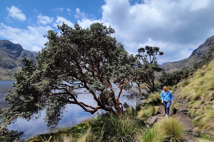Cajas Unveiled: Half-Day Hike from Cuenca to Polylepis Forest photo 2