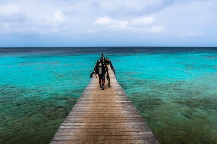 Half-Day Shore Diving Adventure in Curaçao — 2 Dives from Willemstad photo 4