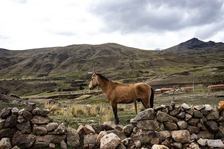 High-Altitude Trek to Vinicunca Rainbow Mountain: Full-Day Andean Hike from Cusco photo 4