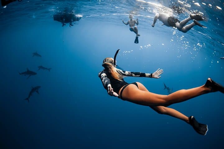 oahu-open-water-shark-diving-haleiwa-cage-free-eco-tour