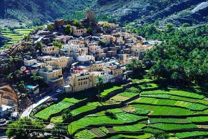Full-Day Wadi Bani Awf & Bilad Sayt Private Tour from Muscat