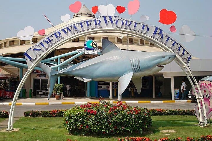 Exploring Underwater World Pattaya: Marine Tunnel, Exhibits & Practical Visitor Guide
