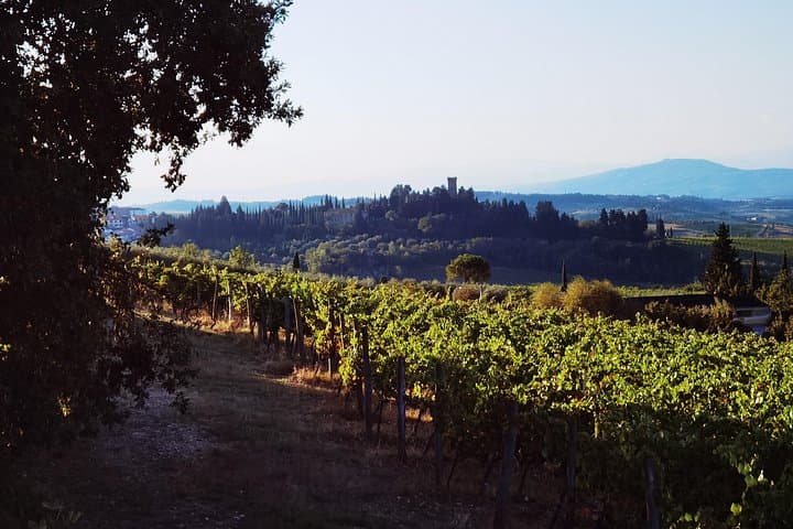 Chianti Classico E‑bike Tour: Ride Through Sangiovese Hills and Olive Groves photo 5