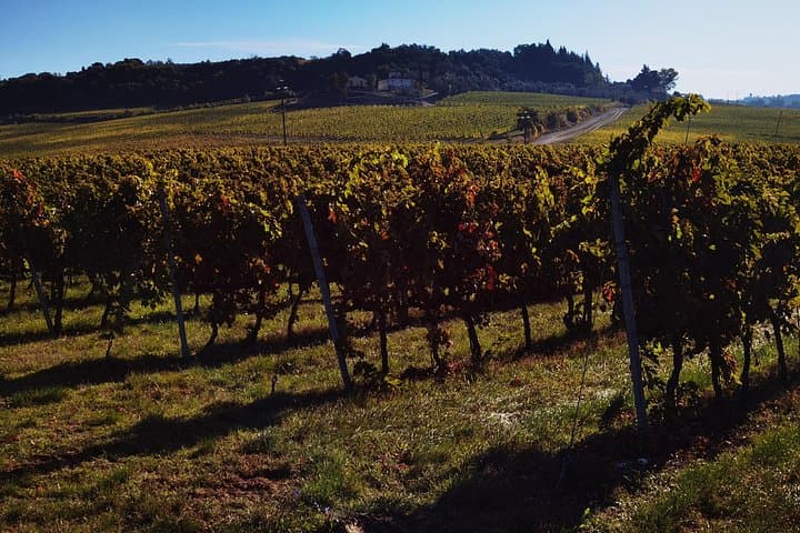 Chianti Classico E‑bike Tour: Ride Through Sangiovese Hills and Olive Groves photo 3