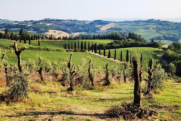 E-biking from Chianti to San Gimignano: 40km Tuscan Hills & Vernaccia Tasting photo 2