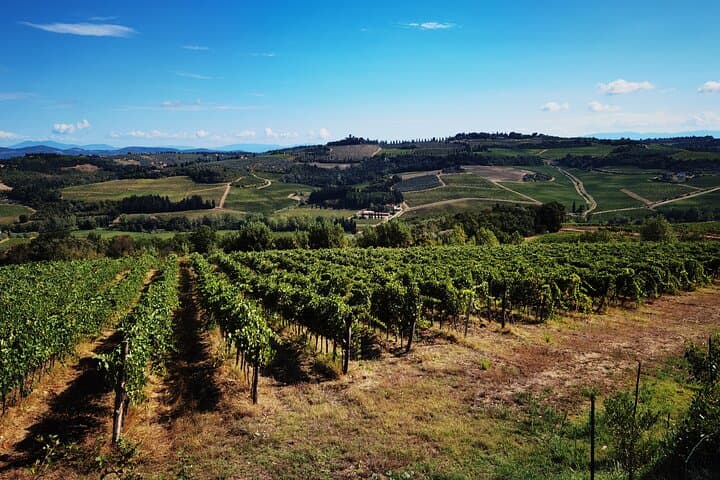 E-biking from Chianti to San Gimignano: 40km Tuscan Hills & Vernaccia Tasting photo 3