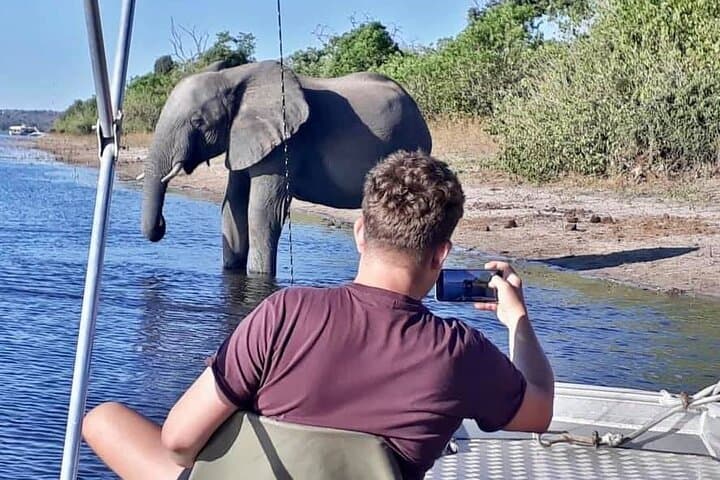 Chobe National Park: 2-Day Camping Safari Under African Skies photo 6