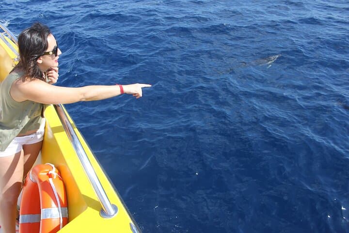 Sunset Dolphin-Watching Cruise from Puerto del Carmen on the Biosfera Jet photo 2