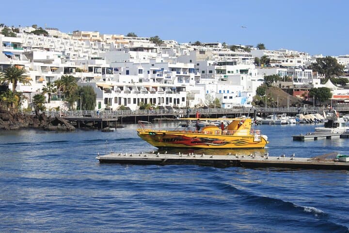 Sunset Dolphin-Watching Cruise from Puerto del Carmen on the Biosfera Jet photo 4