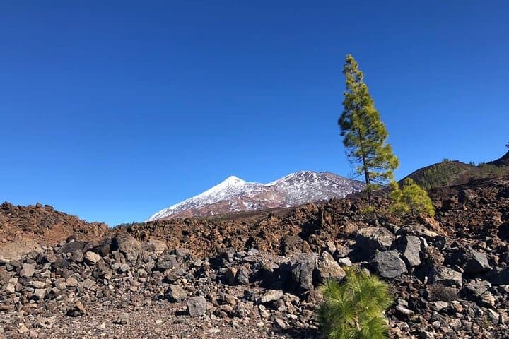 Guided Day Tour to Teide National Park: Roques de García & Mount Teide Views photo 5
