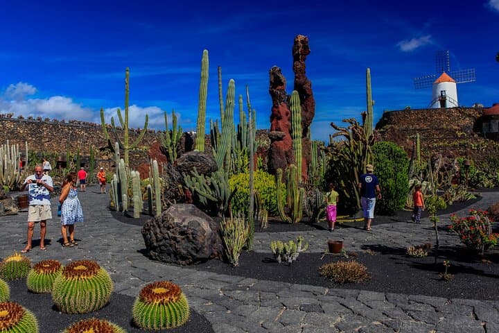 Lanzarote Northern Coast Tour: Lagomar, Cactus Garden & La Graciosa Day Trip photo 2