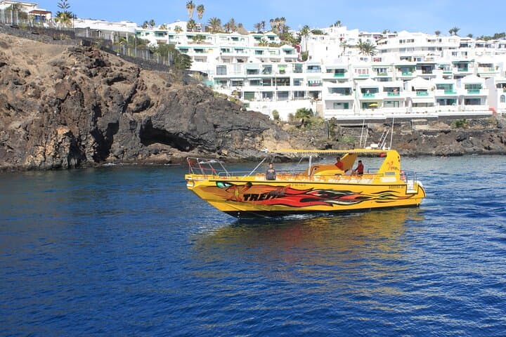 Dolphin-Watching Cruise to Lobos Island from Puerto del Carmen photo 4