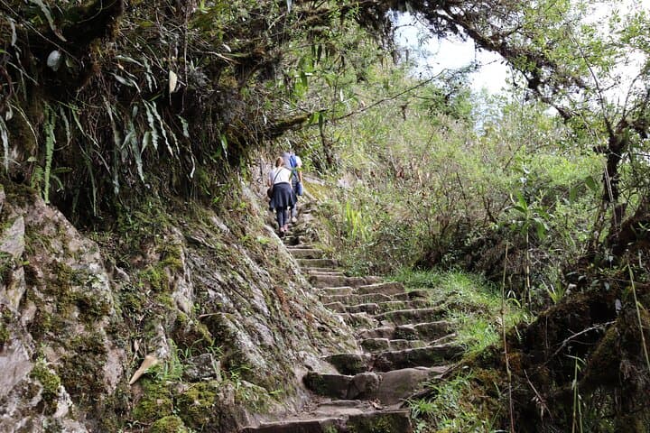 Short Inca Trail to Machu Picchu: 2-Day Guide from Cusco