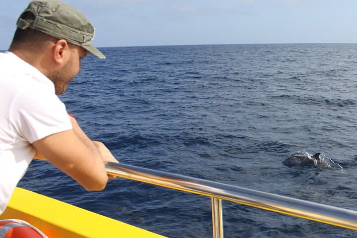 Lanzarote Dolphin Watching & Snorkeling Mini Cruise from Puerto del Carmen photo 3