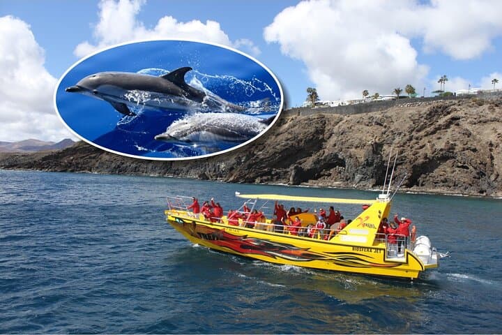 Lanzarote Dolphin Watching & Snorkeling Mini Cruise from Puerto del Carmen