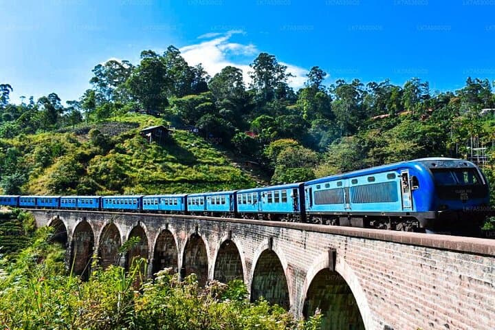Yala Safari to Ella: 2-Day All-Inclusive Wildlife & Hill Country Train Experience photo 3