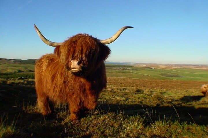 Loch Ness & Urquhart Castle Day Tour from Edinburgh — Inverness Highlands Highlights photo 2