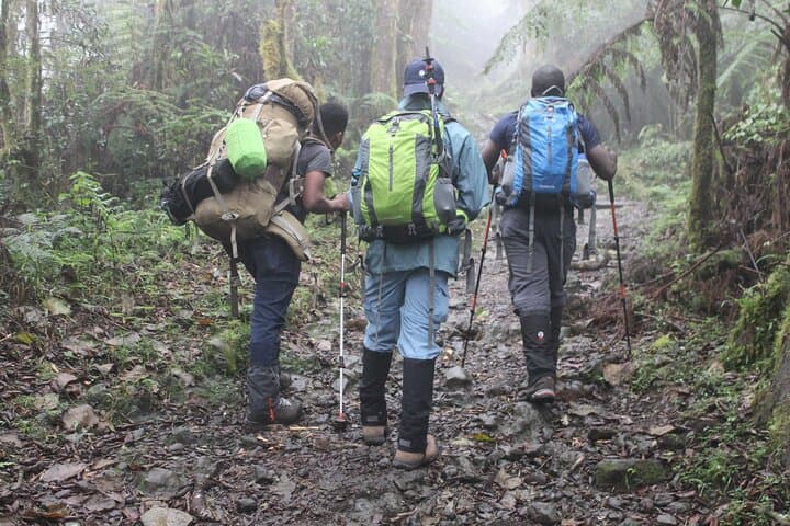Kilimanjaro Day Trip from Arusha — Mandara Hut & Maundi Crater Hike photo 6