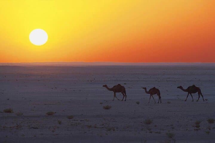 Empty Quarter Desert Safari from Salalah: Ubar, Wadi Dawkha & Dune Bashing photo 6