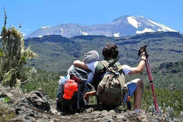 Kilimanjaro Day Trip from Arusha — Mandara Hut & Maundi Crater Hike photo 4