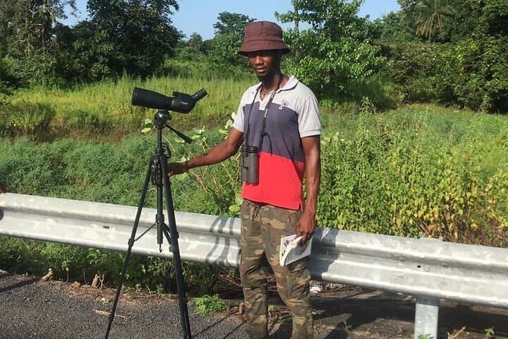 Birdwatching in The Gambia: Half-Day Forest and Wetland Tours