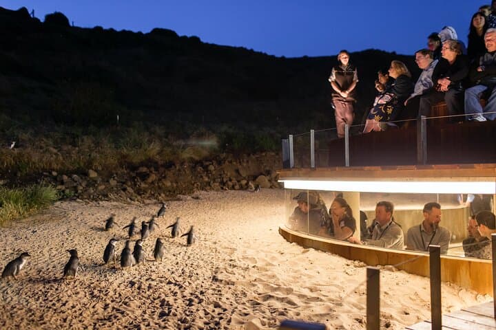 Private Two-Day Great Ocean Road & Phillip Island Tour from Melbourne