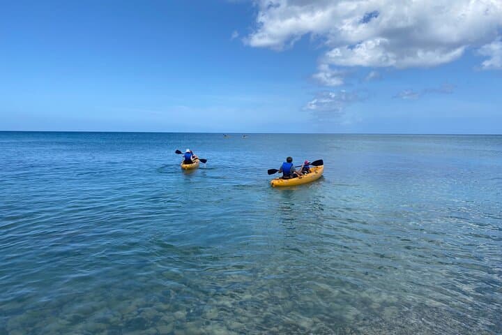 Self-Guided Kayak Rentals and Shoreline Paddling on St. Croix photo 6