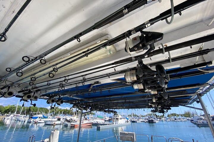 Honolulu 3-Hour Bottom Fishing Charter — Nearshore & Offshore Kewalo Trip photo 3