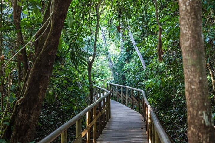 Private Manuel Antonio National Park Guided Walk — Wildlife & Beaches in Manuel Antonio, Costa Rica photo 2