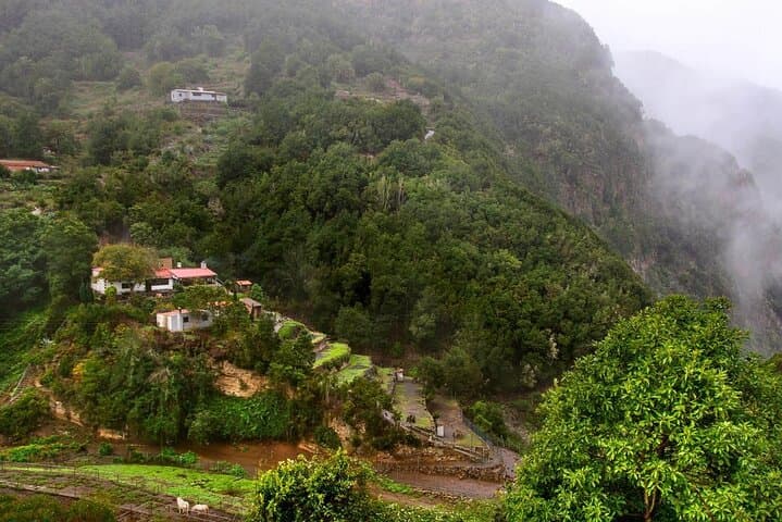 Full-Day La Gomera Guided Tour from Tenerife: Garajonay, Roque de Agando & Agulo photo 4